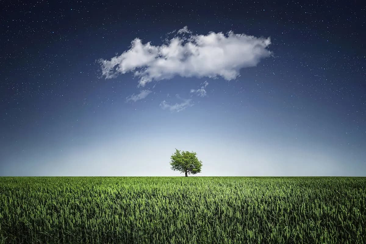 Understanding Managed Cloud Solutions for Small Businesses